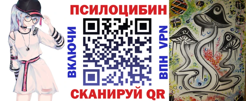 Галлюциногенные грибы Psilocybe  даркнет сайт  Исилькуль 